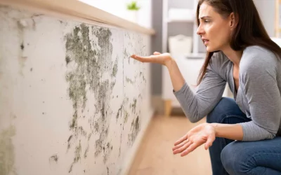 Les signes révélateurs de remontées capillaires dans votre maison