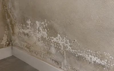Traiter le salpêtre sur un mur : nettoyer les traces et stopper l&rsquo;humidité à la source